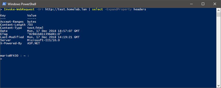 Response headers that get returned by IIS