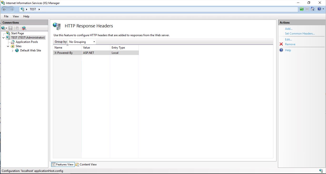 Remove the X-Powered-By header in the GUI